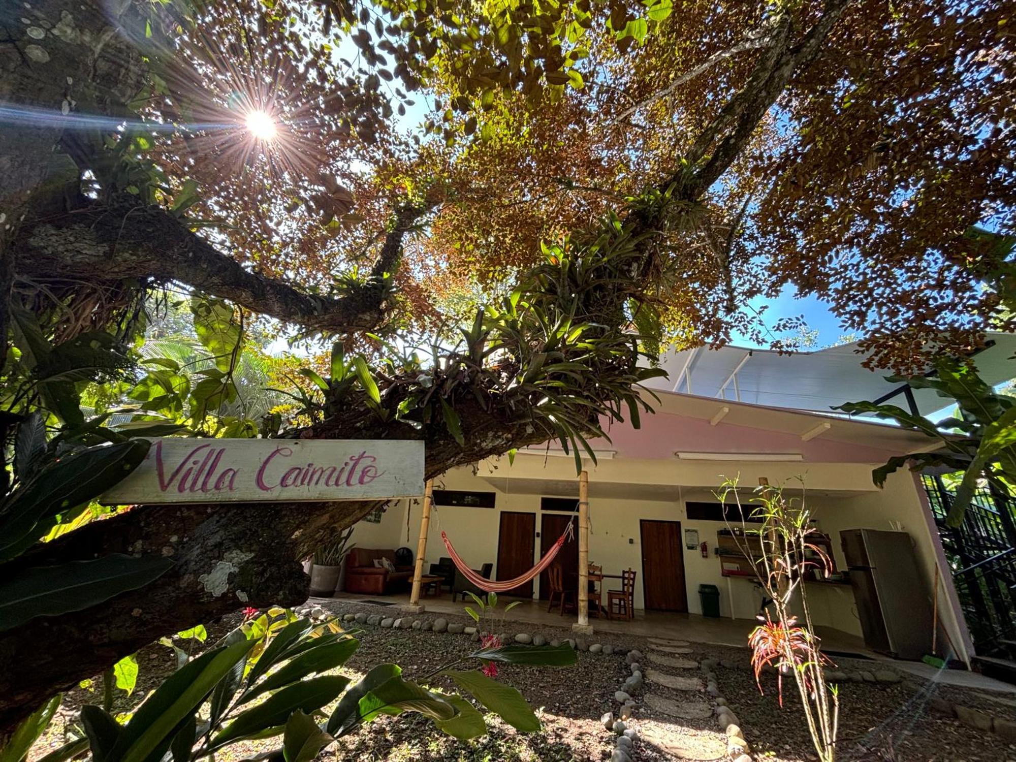 Puerto Viejo Club, Villas & Pool Puerto Viejo de Talamanca Exterior foto